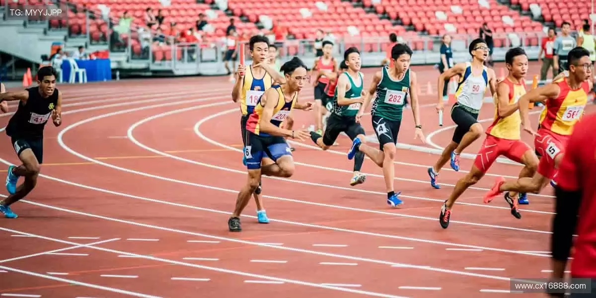 🏀高清直播，每一秒都让你心跳加速！